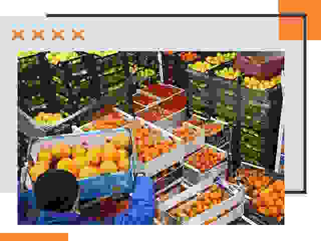 Перевозка скоропортящихся продуктов в Ирбите